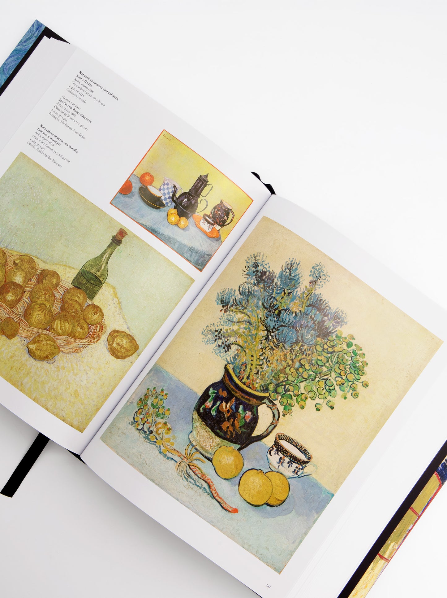 Van Gogh's Complete Pictorial Works Book - Taschen
