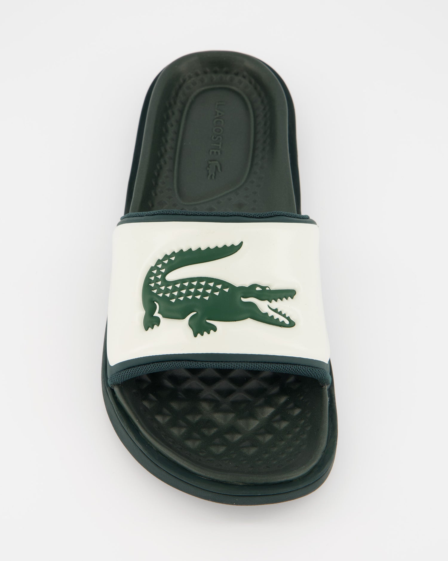 Lacoste Croco Dualiste - Chanclas
