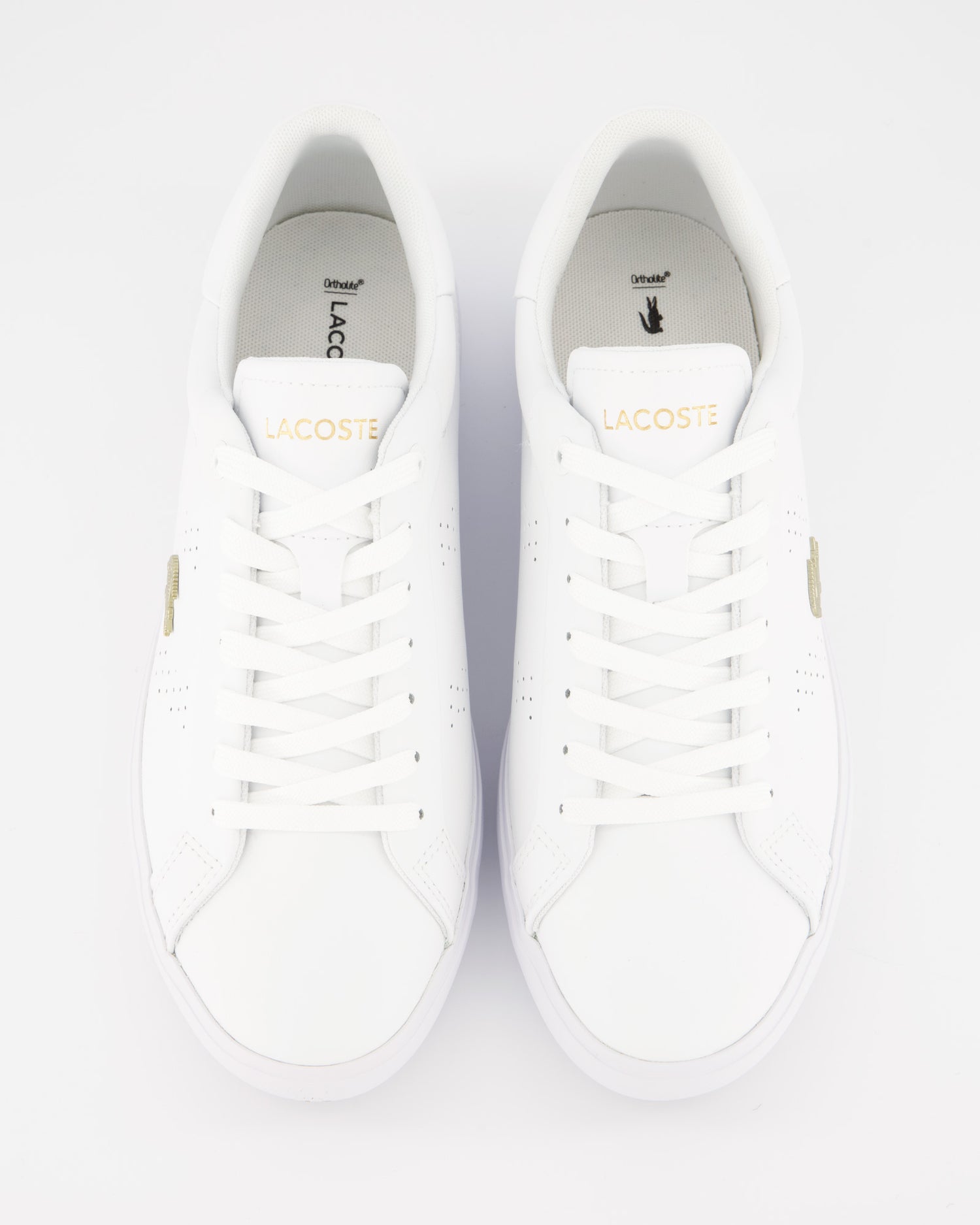 Lacoste Powecourt - Zapatillas