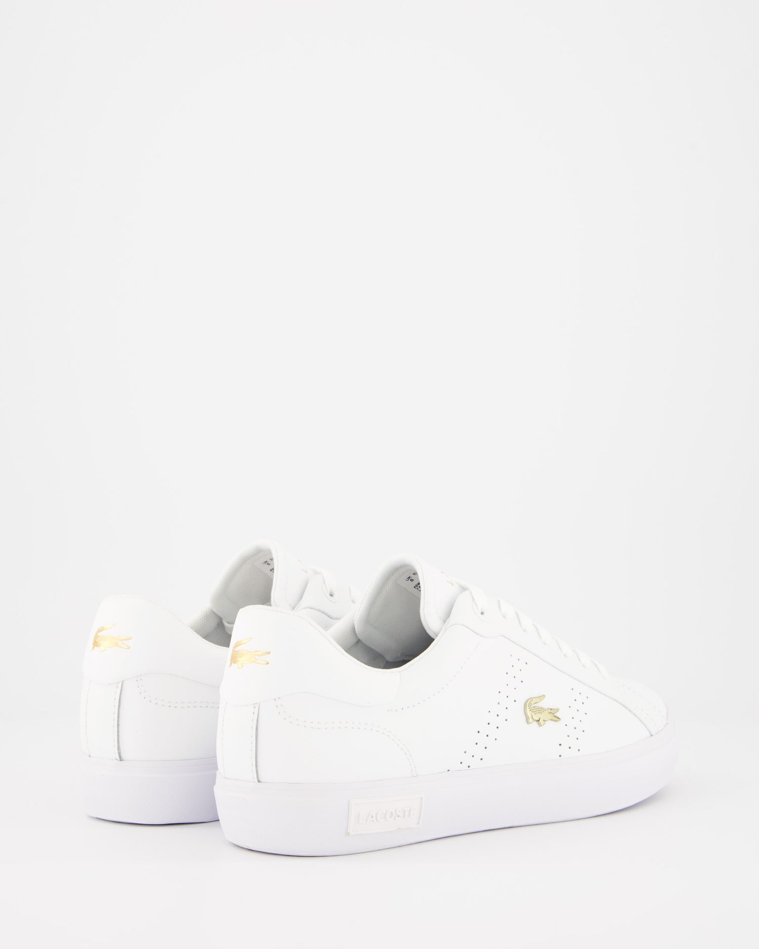 Lacoste Powecourt - Zapatillas