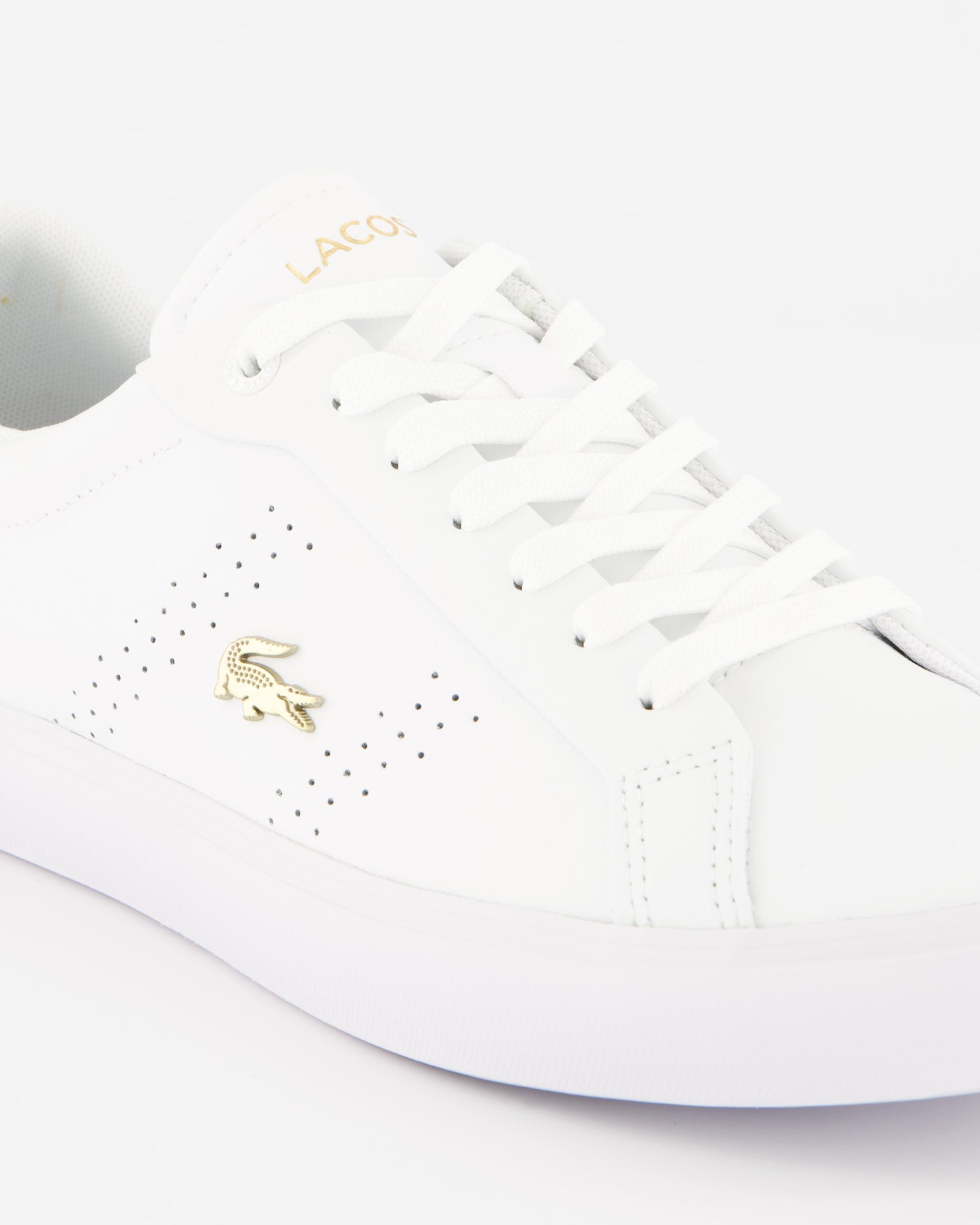 Lacoste Powecourt - Zapatillas