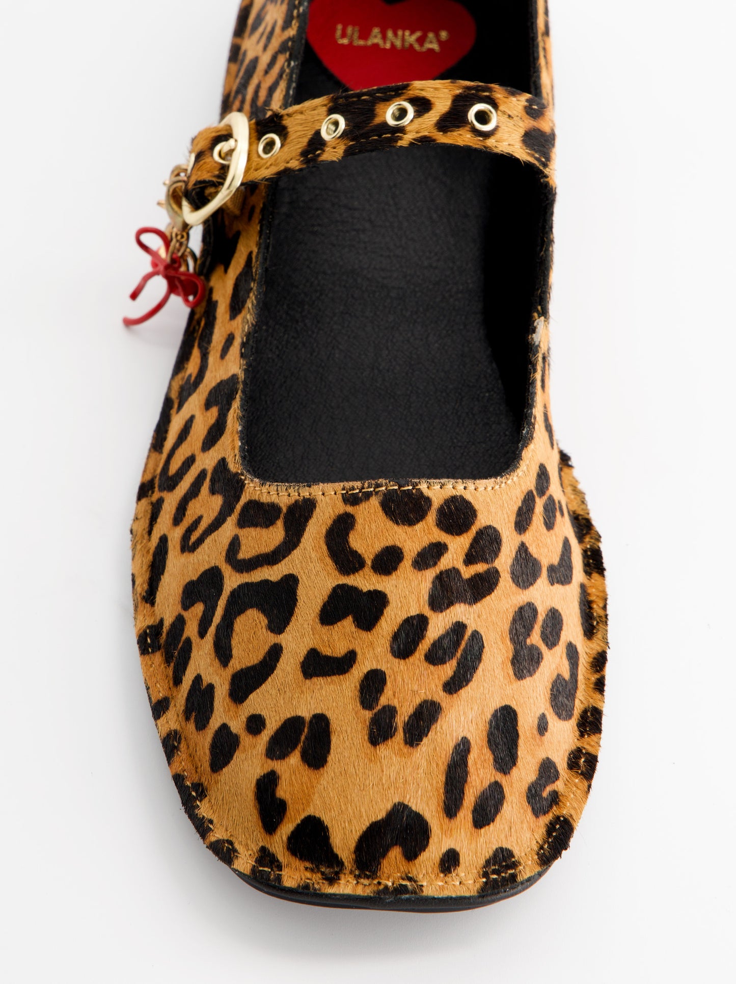 Venecianas Amimal print - ULK Swan